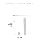 SOLUBLE INHIBITORS OF VASCULAR ENDOTHELIAL GROWTH FACTOR AND USE THEREOF diagram and image