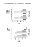 SOLUBLE INHIBITORS OF VASCULAR ENDOTHELIAL GROWTH FACTOR AND USE THEREOF diagram and image