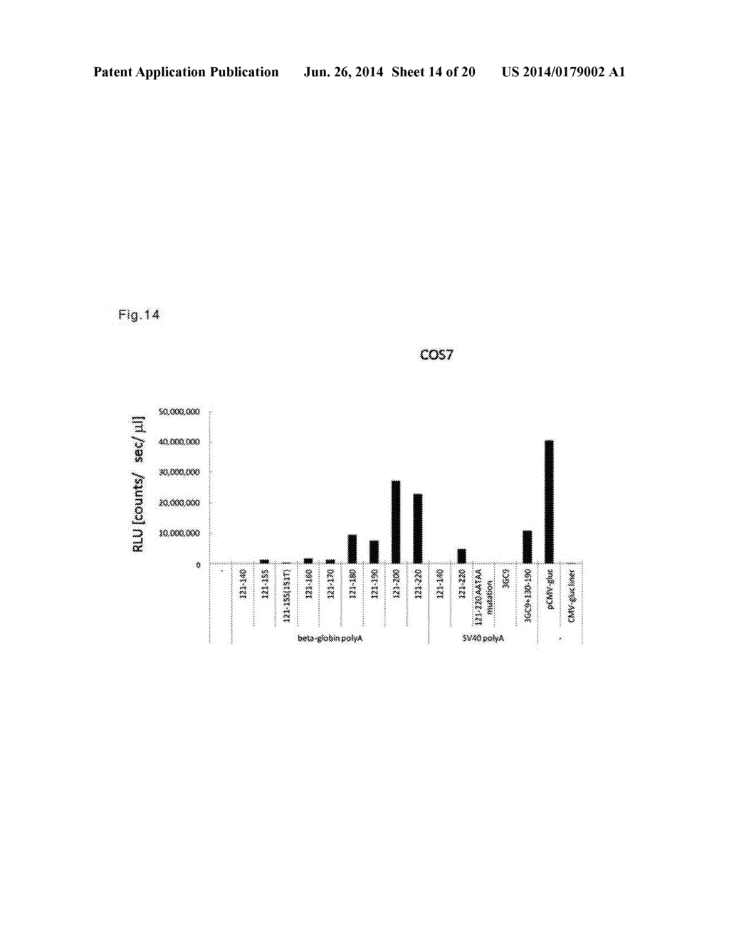 TERMINATOR SEQUENCE-CONTAINING REVERSE PRIMER FOR OVEREXPRESSION AND     LINEAR DNA - diagram, schematic, and image 15