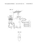 METHOD FOR DETECTING A TARGET PARTICLE IN BIOSAMPLE CONTAINING PANCREATIC     JUICE diagram and image