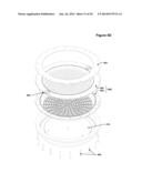 RADICAL SOURCE DESIGN FOR REMOTE PLASMA ATOMIC LAYER DEPOSITION diagram and image