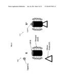 MODIFYING SINGLE PROTEINS (GPCR), LIGANDS, AND NANOPORE SURFACES TO CREATE     BINDING-INDUCED MOLECULAR CHANGES OF PROTEIN-LIGAND COMPLEXES DETECTED IN     NANOCHANNEL TRANSLOCATION diagram and image