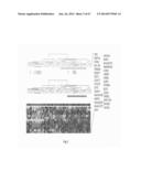 Diagnosis, Prognosis and Identification of Potential Therapeutic Targets     of Multiple Myeloma Based on Gene Expression Profiling diagram and image