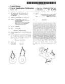 Methods For The Generation Of Multispecific And Multivalent Antibodies diagram and image