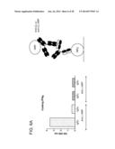 Methods For The Generation Of Multispecific And Multivalent Antibodies diagram and image