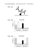 Methods For The Generation Of Multispecific And Multivalent Antibodies diagram and image