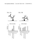 Methods For The Generation Of Multispecific And Multivalent Antibodies diagram and image