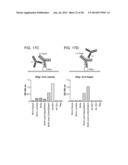 Methods For The Generation Of Multispecific And Multivalent Antibodies diagram and image