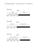 Methods For The Generation Of Multispecific And Multivalent Antibodies diagram and image