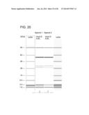 Methods For The Generation Of Multispecific And Multivalent Antibodies diagram and image