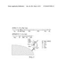 IMMUNOGLOBULIN FC LIBRARIES diagram and image