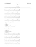 IMMUNOGLOBULIN FC LIBRARIES diagram and image