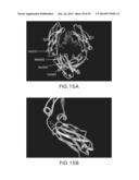 IMMUNOGLOBULIN FC LIBRARIES diagram and image