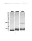 DRUG DISCOVERY METHODS AND PLATFORMS diagram and image