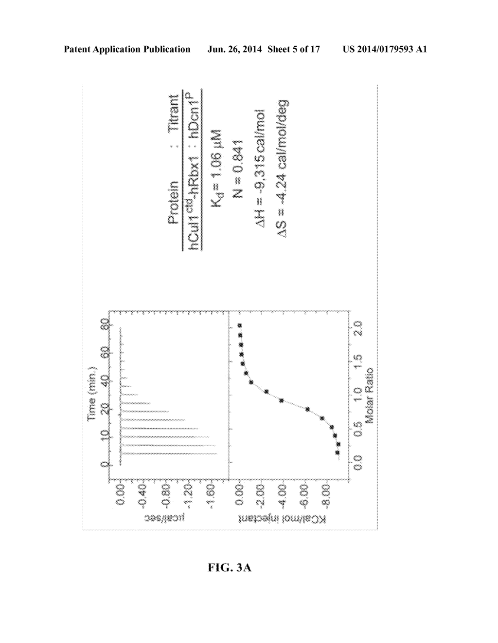 METHODS AND COMPOSITIONS FOR INHIBITING NEDDYLATION OF PROTEINS - diagram, schematic, and image 06