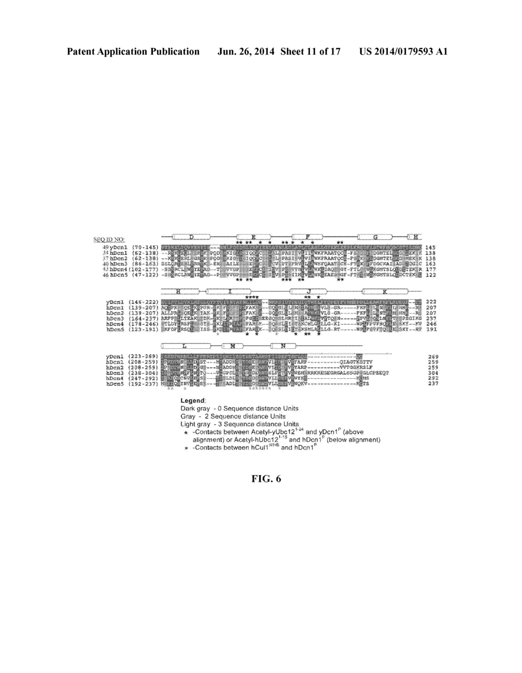 METHODS AND COMPOSITIONS FOR INHIBITING NEDDYLATION OF PROTEINS - diagram, schematic, and image 12