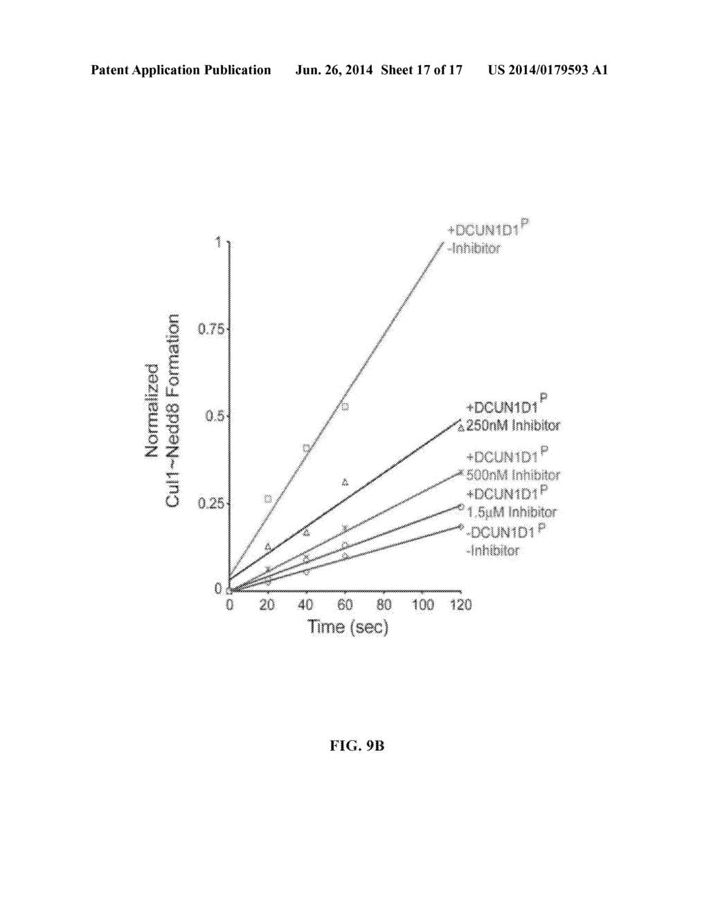 METHODS AND COMPOSITIONS FOR INHIBITING NEDDYLATION OF PROTEINS - diagram, schematic, and image 18