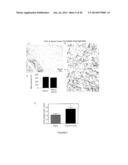 FGF-9 AND ITS USE RELATING TO BLOOD VESSELS diagram and image