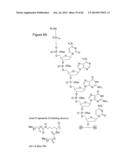 Methods for Treating or Preventing Ophthalmological Diseases diagram and image