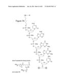 Methods for Treating or Preventing Ophthalmological Diseases diagram and image