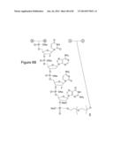 Methods for Treating or Preventing Ophthalmological Diseases diagram and image