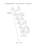 Methods for Treating or Preventing Ophthalmological Diseases diagram and image