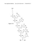 Methods for Treating or Preventing Ophthalmological Diseases diagram and image