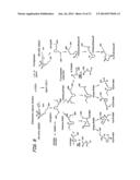 USE OF DOCASATRIENES, RESOLVINS, AND THEIR STABLE ANALOGS IN THE TREATMENT     OF AIRWAY DISEASES AND ASTHMA diagram and image