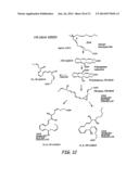 USE OF DOCASATRIENES, RESOLVINS, AND THEIR STABLE ANALOGS IN THE TREATMENT     OF AIRWAY DISEASES AND ASTHMA diagram and image