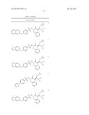 DERIVATIVES OF 1-AMINO-2-CYCLOPROPYLETHYLBORONIC ACID diagram and image