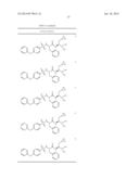 DERIVATIVES OF 1-AMINO-2-CYCLOPROPYLETHYLBORONIC ACID diagram and image