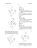 SUBSTITUTED INDOLE DERIVATIVES diagram and image