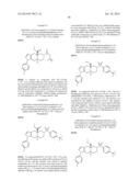 FUSED RING AZADECALIN GLUCOCORTICOID RECEPTOR MODULATORS diagram and image