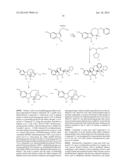 SUBSTITUTED NORIBOGAINE diagram and image