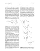 SUBSTITUTED NORIBOGAINE diagram and image