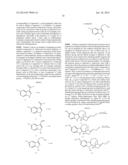 SUBSTITUTED NORIBOGAINE diagram and image