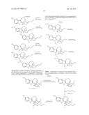 SUBSTITUTED NORIBOGAINE diagram and image