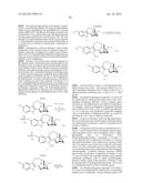 SUBSTITUTED NORIBOGAINE diagram and image