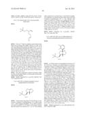 FUSED AMINODIHYDROTHIAZINE DERIVATIVES diagram and image