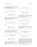 BICYCLIC PYRIMIDONE COMPOUNDS diagram and image