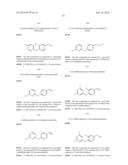 BICYCLIC PYRIMIDONE COMPOUNDS diagram and image