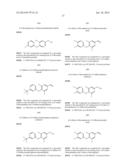 BICYCLIC PYRIMIDONE COMPOUNDS diagram and image