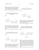 BICYCLIC PYRIMIDONE COMPOUNDS diagram and image