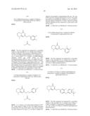 BICYCLIC PYRIMIDONE COMPOUNDS diagram and image