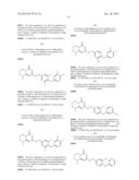 BICYCLIC PYRIMIDONE COMPOUNDS diagram and image