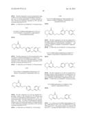 BICYCLIC PYRIMIDONE COMPOUNDS diagram and image