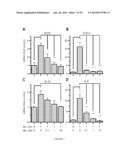 PROSTAGLANDIN RECEPTOR EP2 ANTAGONISTS, DERIVATIVES, COMPOSITIONS, AND     USES RELATED THERETO diagram and image