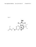 COMPOUNDS FROM ANTRODIA CINNAMOMEA  AND USE THEREOF diagram and image