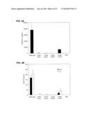 MODIFIED SIRNA MOLECULES AND USES THEREOF diagram and image