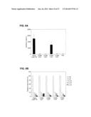 MODIFIED SIRNA MOLECULES AND USES THEREOF diagram and image